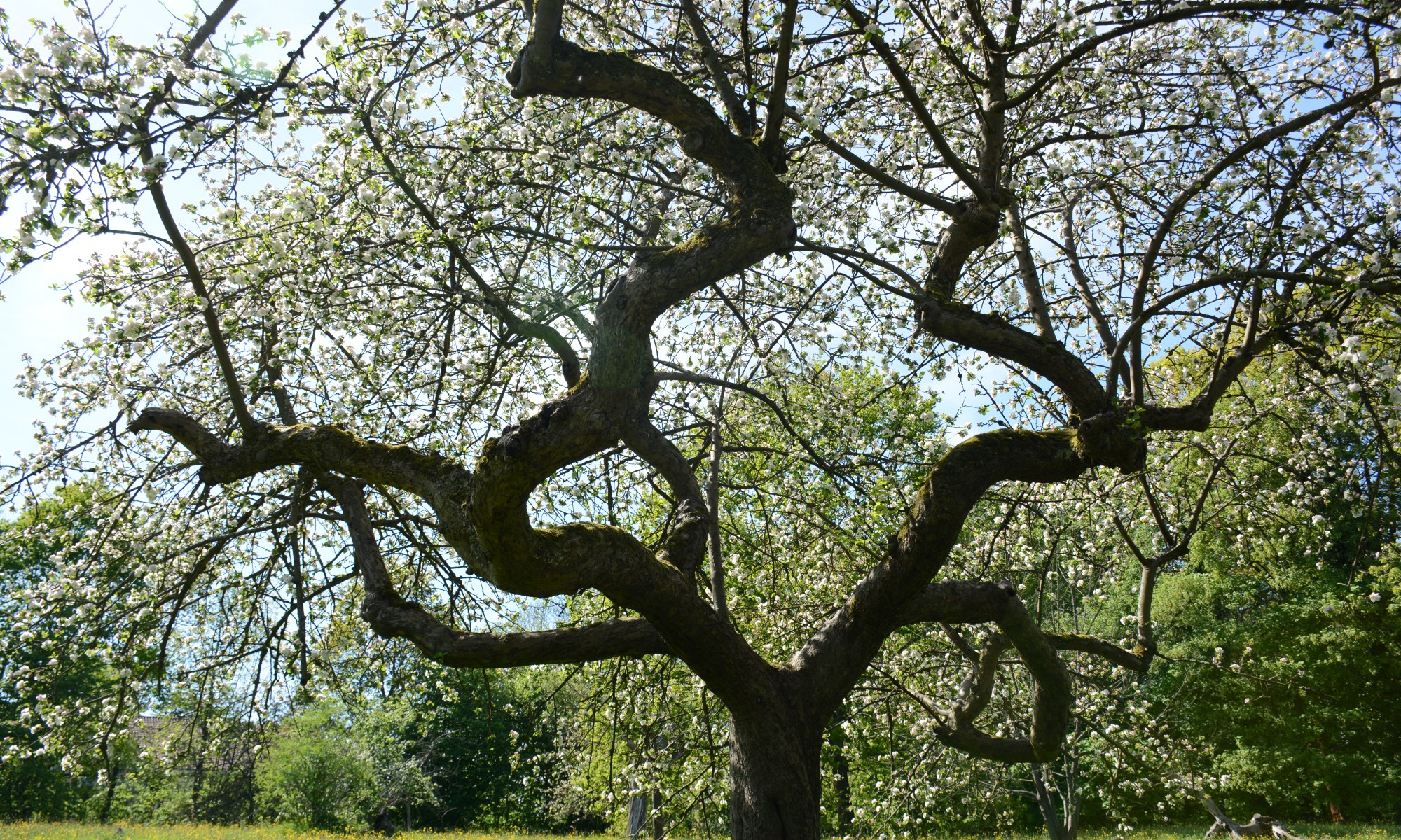 do you feel it? . . . . magic is ever abundant