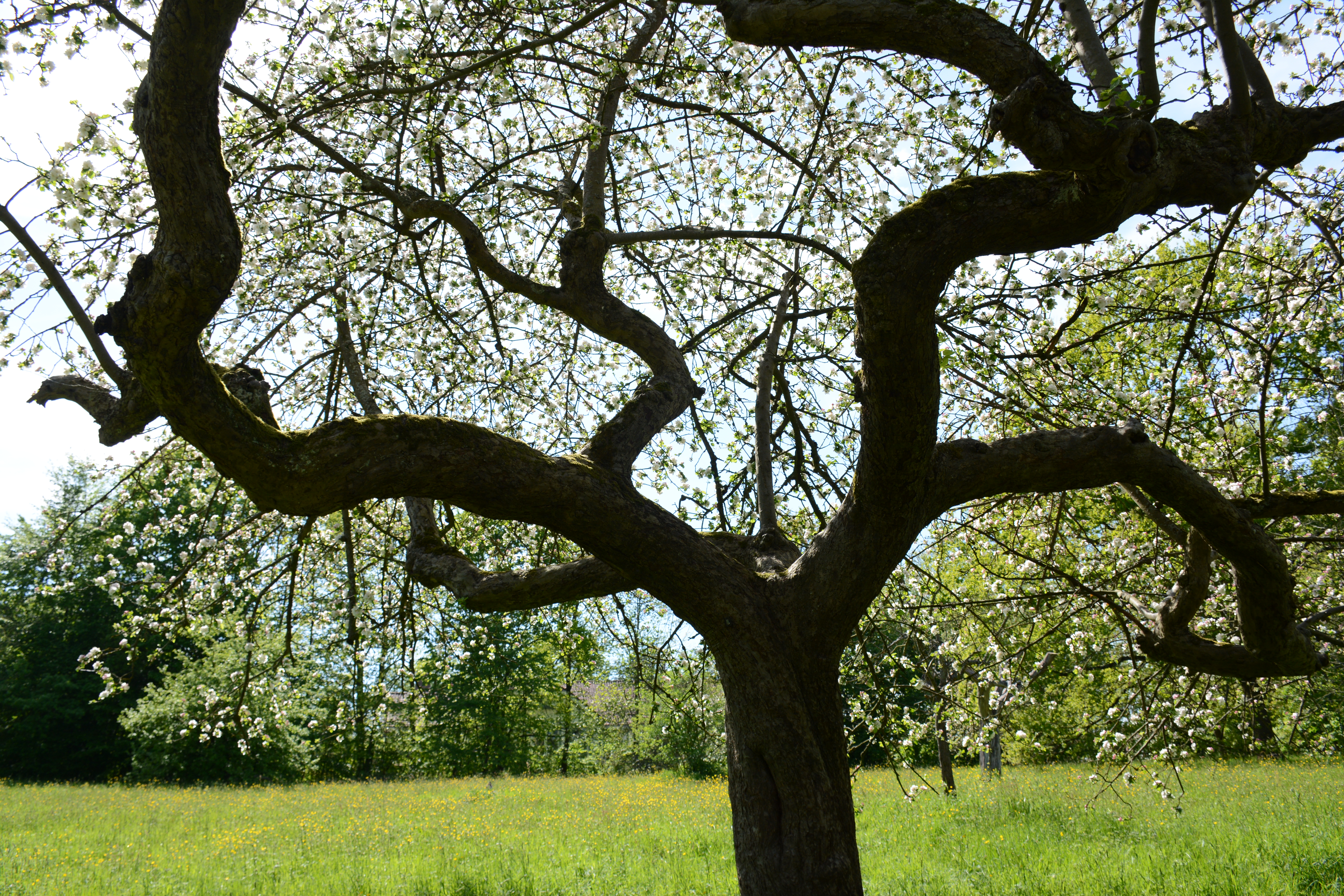 do you feel it? . . . . the magic is abundant
