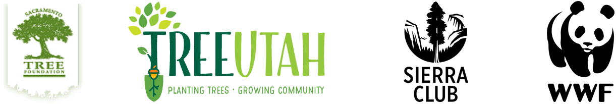 Every smidgeon of support goes a long long way, Thank You!